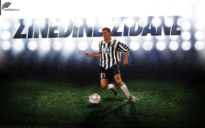 艾尚体育-南非田径队奥运村房间有蝙蝠